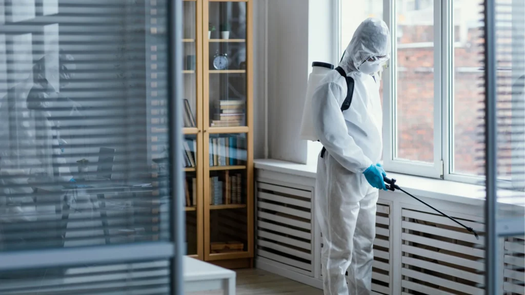 risques-sanitaires-liés-aux-rats-et-souris