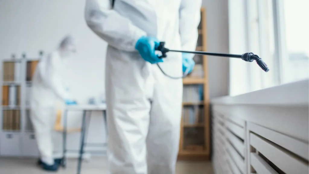 danger-des-infestations-de-rongeurs